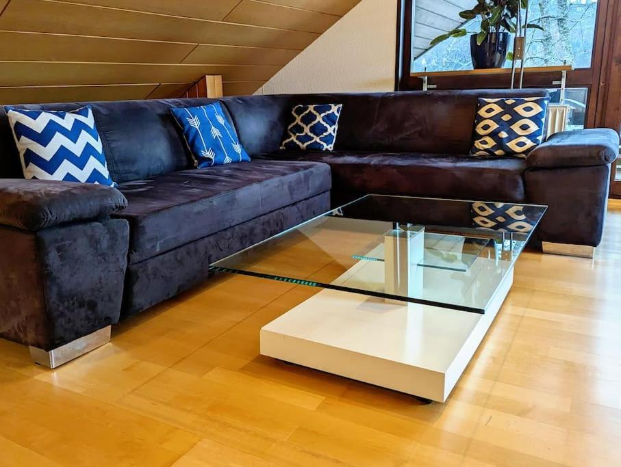 Studiowohnung Schwabenalb Mit Panoramablick 阿尔伯斯塔特 外观 照片