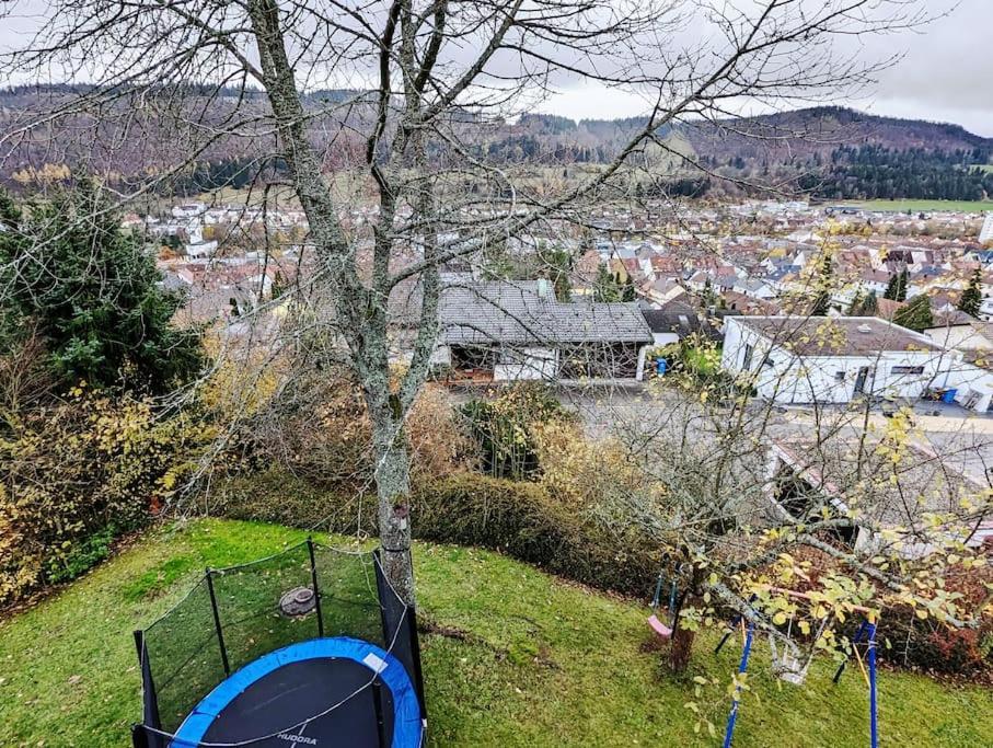Studiowohnung Schwabenalb Mit Panoramablick 阿尔伯斯塔特 外观 照片