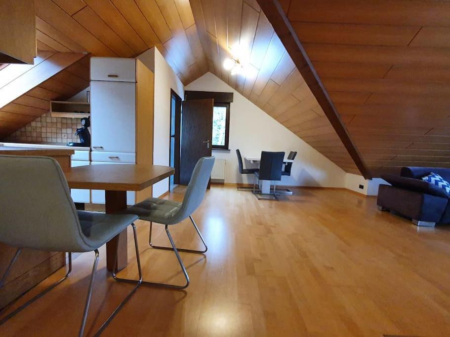 Studiowohnung Schwabenalb Mit Panoramablick 阿尔伯斯塔特 外观 照片
