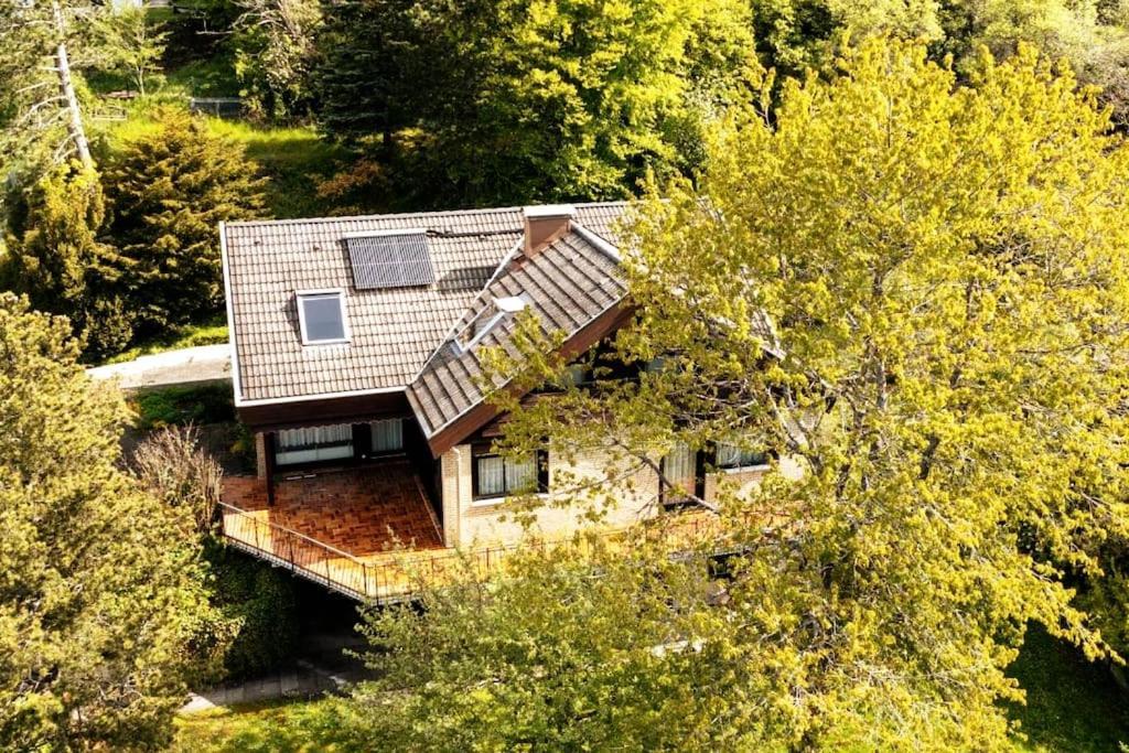 Studiowohnung Schwabenalb Mit Panoramablick 阿尔伯斯塔特 外观 照片