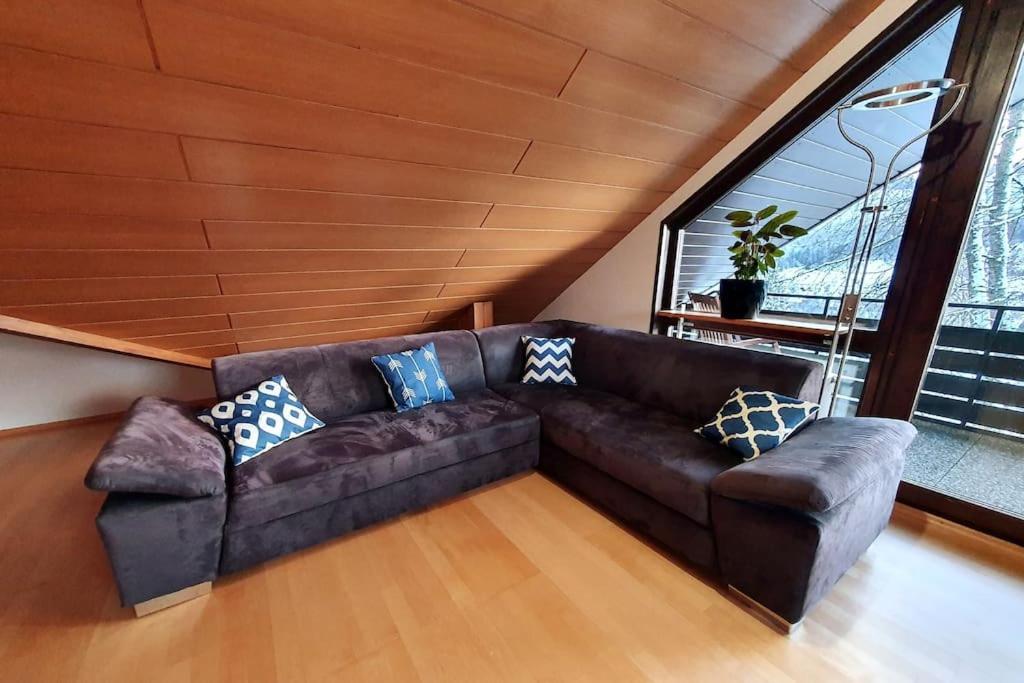 Studiowohnung Schwabenalb Mit Panoramablick 阿尔伯斯塔特 外观 照片