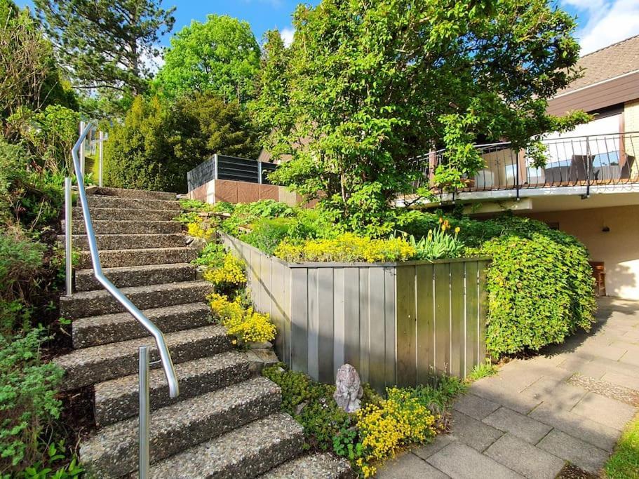 Studiowohnung Schwabenalb Mit Panoramablick 阿尔伯斯塔特 外观 照片