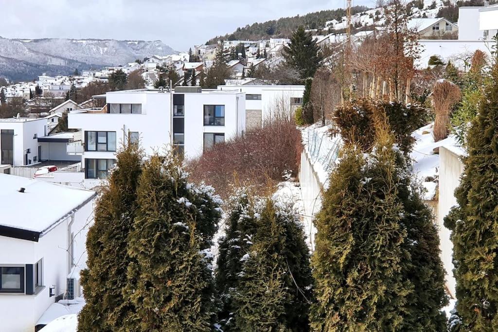 Studiowohnung Schwabenalb Mit Panoramablick 阿尔伯斯塔特 外观 照片